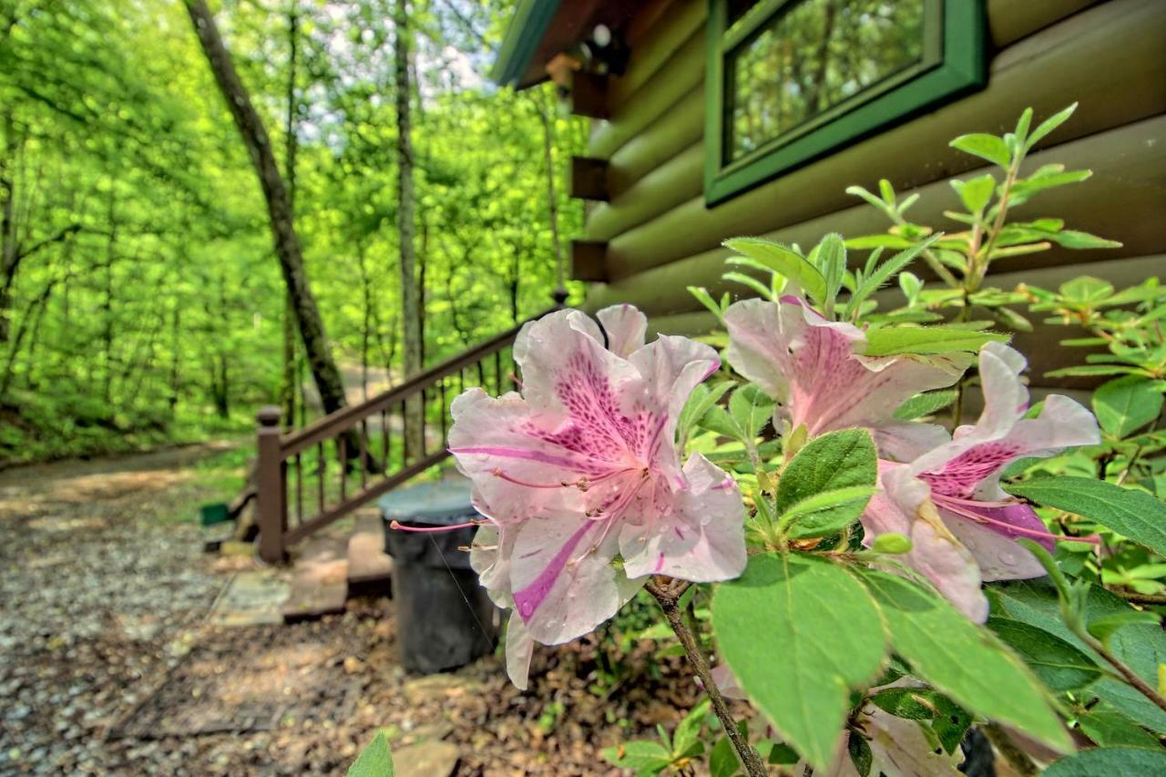 Tree Song Mountain Creek Cabin Ellijay Bagian luar foto